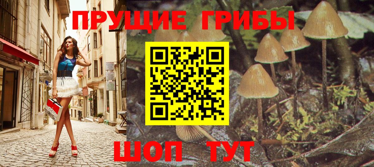 Псилоцибиновые грибы ЛСД  Вход с VPN  что такое наркотик  Владимир 