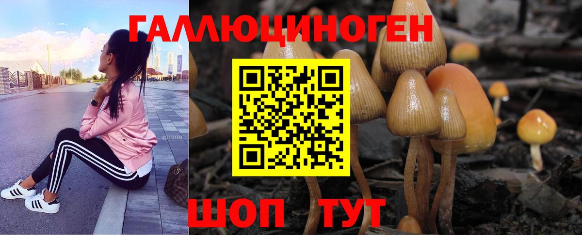 Галлюциногенные грибы мухоморы Владимир